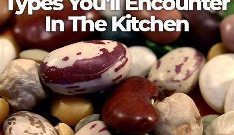 The Different Bean Types You'll Encounter In The Kitchen Types Of Beans