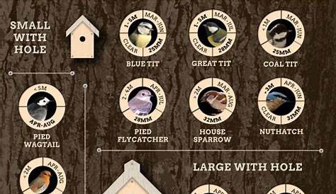 Handy nestbox infographic | Mangeoires pour oiseaux faites maison