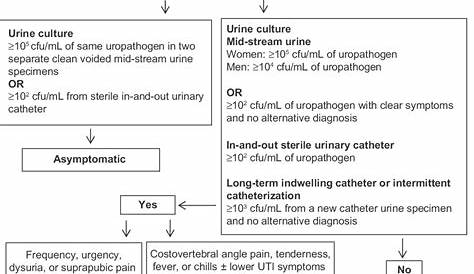Flow chart for the diagnosis of urinary tract infection in patients