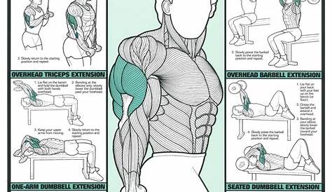 workout-posters-1 Fitness Workouts, Training Fitness Gym, Gym Workouts