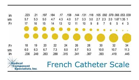 French Catheter Size Chart - Галерија слика