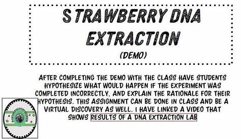 dna extraction virtual lab worksheet