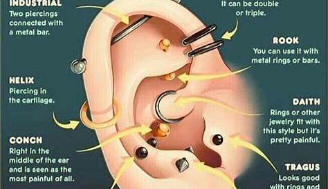Ear Piercings Chart | Ear piercings, Piercings, Ear piercings chart