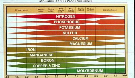 ph soil chart - Yahoo Image Search Results | Plant nutrients, Soil, Soil ph