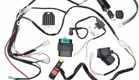 Engine Wiring Harness at Best Price in India