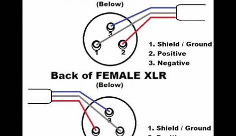 Neutrik Xlr Wiring Diagram - Combo Xlr Wiring Diagram Wiring Diagram