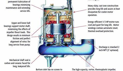 Basement Ejector Pump Maintenance - Picture of Basement 2020