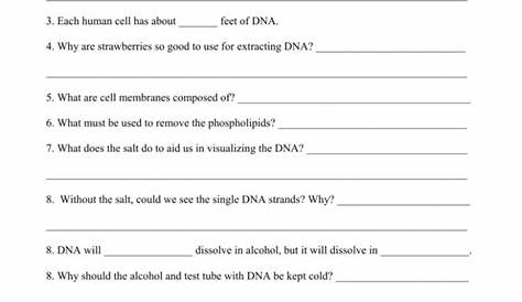 strawberry dna extraction lab worksheets
