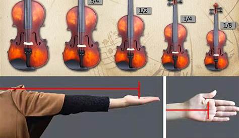 violin size chart by height