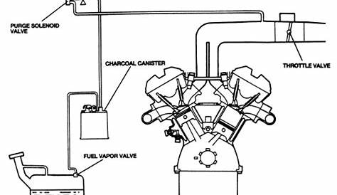 1995 Ford F150 Vacuum Line Diagram - Drivenheisenberg