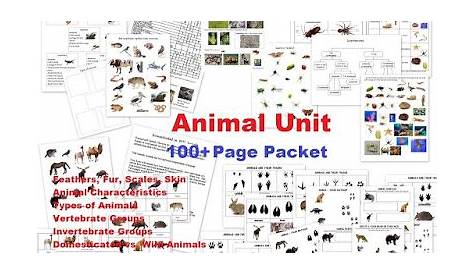 living creatures worksheet