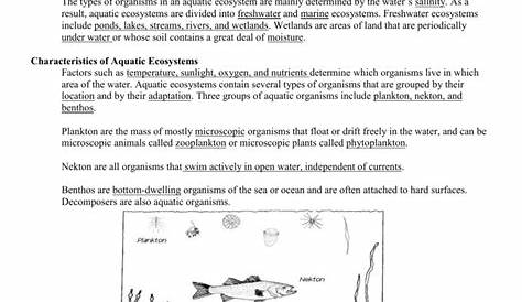 Aquatic Ecosystems Worksheet Answer Key