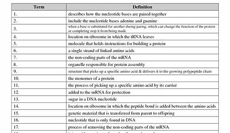 proteins worksheets answer key