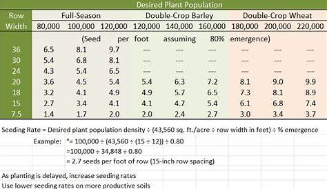 Seeding Rate | Virginia Soybean Update