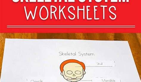 anatomy worksheets for elementary students