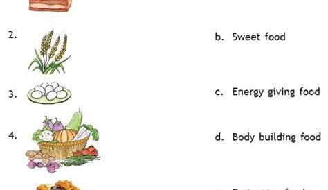 food for thought worksheet