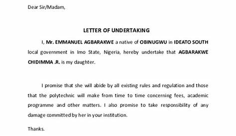 When Can Undertaking Letter For Responsibility - certify letter