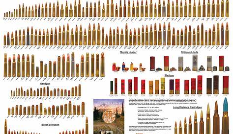Cartridge Comparison Guide the Ultimate Hunting and Ballistics Manual | OutdoorHub