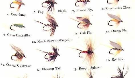 fly fishing fly identification chart