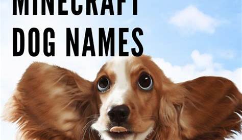 Minecraft Dog Names 134+ Best & Cute & Top Dog Names | PetShoper in