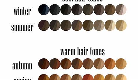 warm hair colors chart
