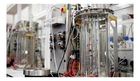 Equipment - Sartorius BIOSTAT® B-DCU mammalian bioreactors (10L… | CPI