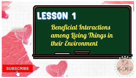 interactions among living things worksheets answer key