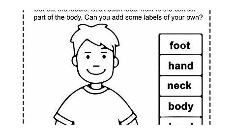 Cut Out Body Parts - Worksheets PDF