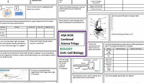 gcse science biology worksheet