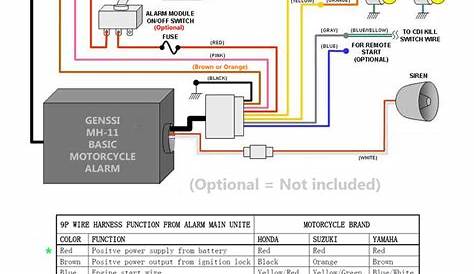 wiring diagram for 50 cc