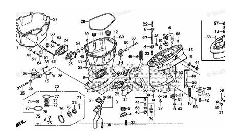 30 Honda Outboard Motor Parts Diagram - Wiring Database 2020