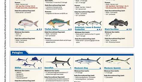 Florida Recreational Saltwater Fishing Bag Limits / Seasons