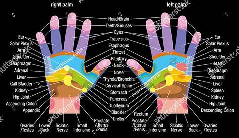 high resolution hand reflexology chart