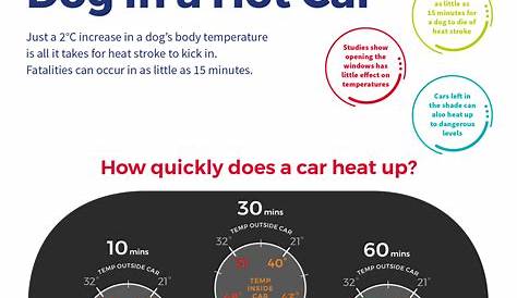 Dogs In Hot Cars | Check Out Our Dog In Car Temperature Chart
