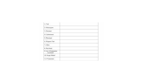 genetics punnett squares practice packet