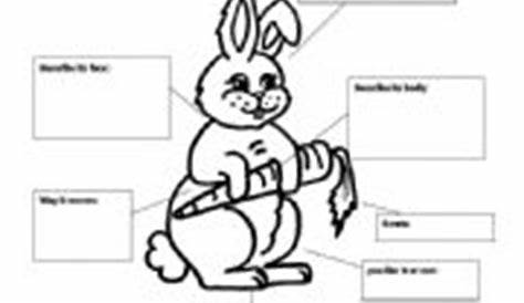 grade 1 rabbit facts worksheet