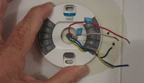 Nest Thermostat Wiring Diagram 6 Wires - Doctor Heck