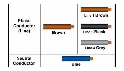 plug wiring colors