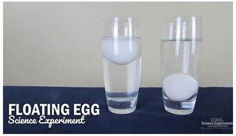 Floating Egg Science Experiment