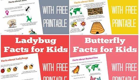 Fun Facts for Kids. There are so many fun facts to learn about many
