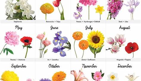 birth flowers for each month chart