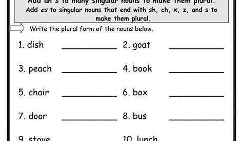 plural nouns worksheets