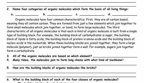 proteins worksheets answer key