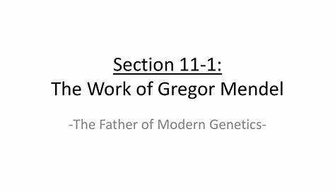 11.1 The Work Of Gregor Mendel Answer Key