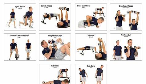 10 Best Free Printable Dumbbell Workout Poster PDF for Free at
