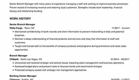 professional summary for branch manager