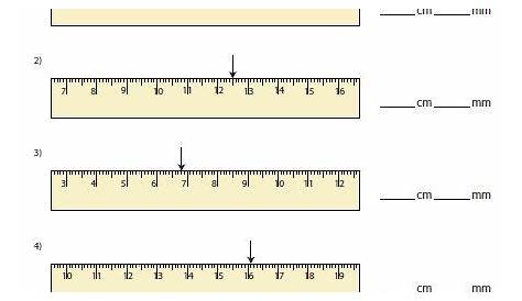 ruler worksheets