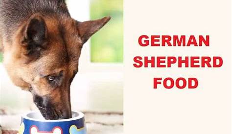 German Shepherd Food With Diet, Schedule, And Chart Food