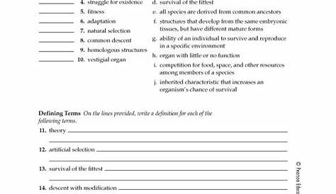 13 Best Images of What Darwin Never Knew Worksheet Answer Key - What