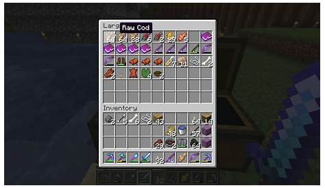 what can you get from fishing minecraft
